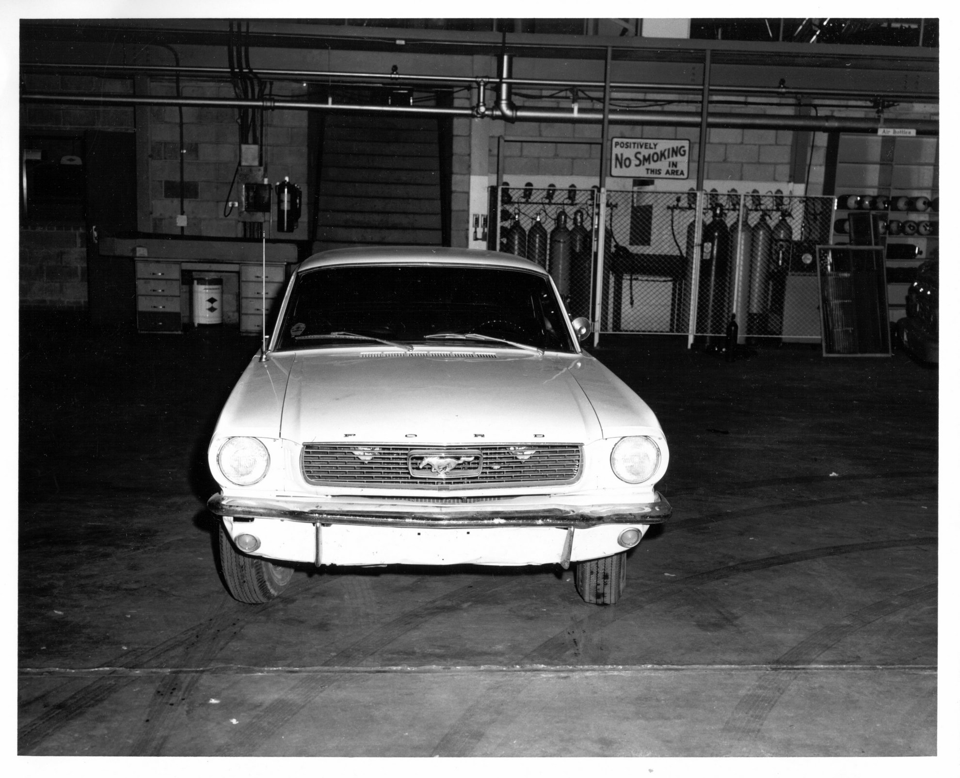 27Mustang 4.jpg